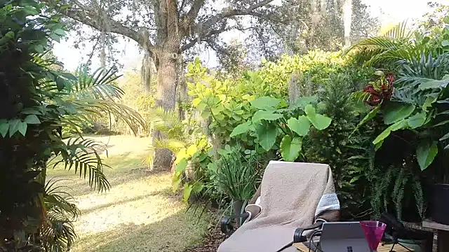 Snapshot of eliberator1777 chatting on 01/31/25, 09:37 eliberator1777 online show from 01/31/25, 09:37