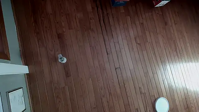 Snapshot of riverside197575 chatting on 10/23/25, 09:08 riverside197575 online show from 10/23/25, 09:08