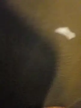 Snapshot of Sripandara1 chatting on 03/22/25, 12:04 Sripandara1 online show from 03/22/25, 12:04