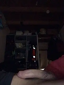 Chris-LE91 online show from 01/15/26, 03:55