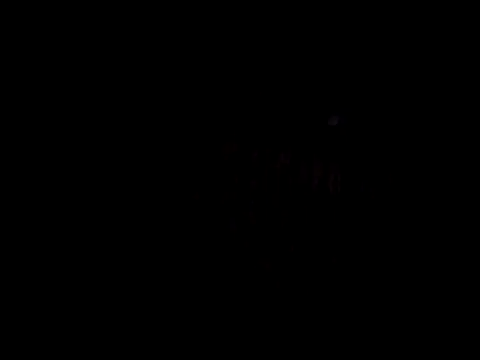 catdool online show from 02/14/25, 11:31