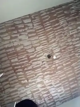 catdool online show from 02/20/25, 06:57