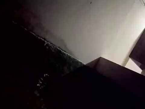 catdool online show from 02/28/25, 12:43