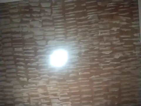 catdool online show from 09/22/25, 05:04