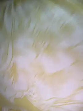 Dhiyapink online show from 12/02/24, 06:41