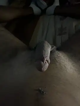 Snapshot of mamoubz chatting on 11/03/25, 11:04 mamoubz online show from 11/03/25, 11:04