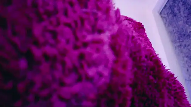 FemDom RubyKnightXXO online show from 03/18/25, 08:37