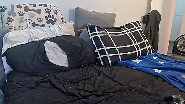 Snapshot of pyrowuff chatting on 01/19/26, 03:10 pyrowuff online show from 01/19/26, 03:10