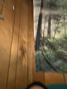 ScottyOne17 online show from 03/17/26, 03:11