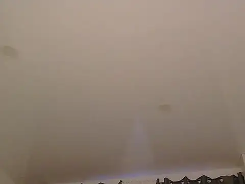 LionEdwin online show from 12/20/25, 07:37