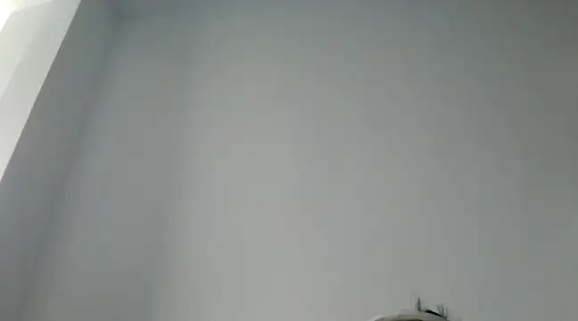 Snapshot of FallenDevil chatting on 12/29/24, 11:40 FallenDevil online show from 12/29/24, 11:40