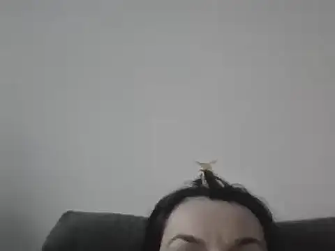 FallenDevil online show from 03/07/25, 04:00