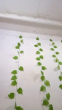 Snapshot of shayna_all chatting on 11/25/25, 06:08 shayna all online show from 11/25/25, 06:08