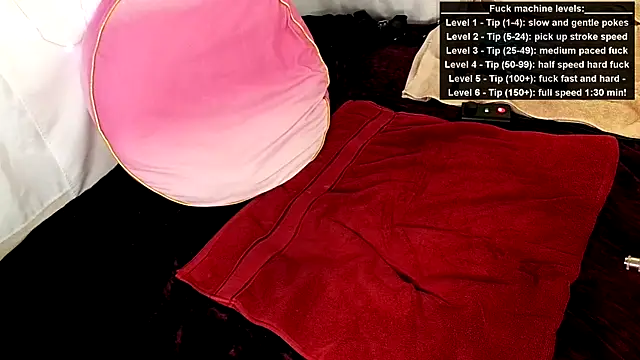 GamerGirlRoxyAndLee online show from 06/15/26, 08:22