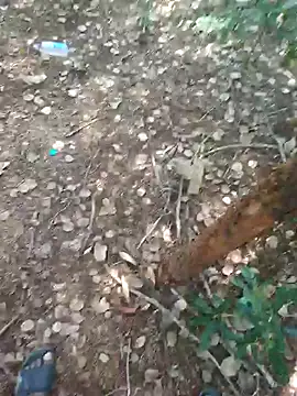 Snapshot of rameshmry1 chatting on 02/21/26, 08:59 rameshmry1 online show from 02/21/26, 08:59