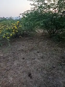 Snapshot of rameshmry1 chatting on 03/05/26, 12:34 rameshmry1 online show from 03/05/26, 12:34