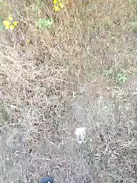 Snapshot of rameshmry1 chatting on 03/21/26, 12:10 rameshmry1 online show from 03/21/26, 12:10