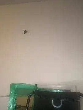 Snapshot of Foreignthababyy chatting on 01/13/26, 03:12 Foreignthababyy online show from 01/13/26, 03:12