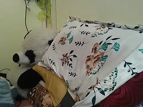 Snapshot of SHENOY3 chatting on 02/02/25, 06:26 SHENOY3 online show from 02/02/25, 06:26