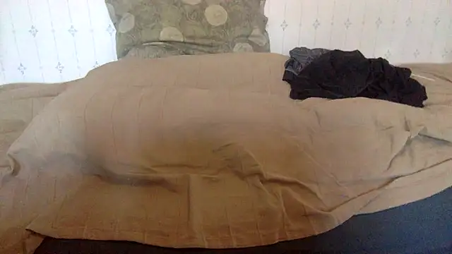 Snapshot of hamstergrabben chatting on 02/24/25, 11:54 hamstergrabben online show from 02/24/25, 11:54