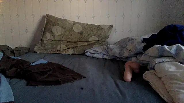 Snapshot of hamstergrabben chatting on 03/17/25, 04:54 hamstergrabben online show from 03/17/25, 04:54