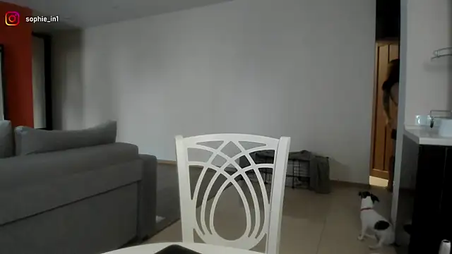 Snapshot of _in_yan chatting on 02/18/26, 03:57 in yan online show from 02/18/26, 03:57