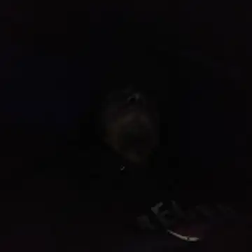 AlexAlejandro13 online show from 02/03/26, 06:40