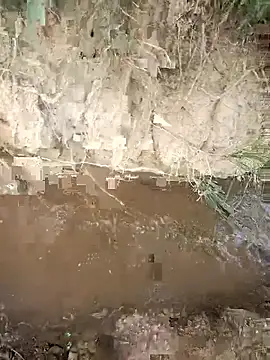 Snapshot of FinableKnee chatting on 10/23/25, 03:50 FinableKnee online show from 10/23/25, 03:50