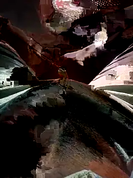 Snapshot of FinableKnee chatting on 11/17/25, 03:56 FinableKnee online show from 11/17/25, 03:56