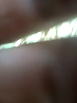 Snapshot of FinableKnee chatting on 11/21/25, 06:34 FinableKnee online show from 11/21/25, 06:34