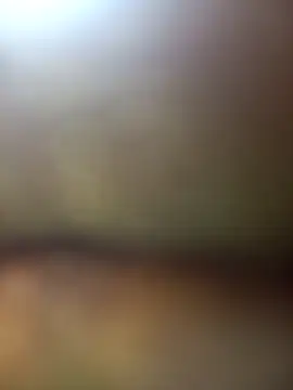 Snapshot of FinableKnee chatting on 11/27/25, 05:31 FinableKnee online show from 11/27/25, 05:31