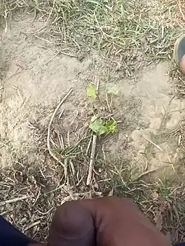 Snapshot of FinableKnee chatting on 11/29/25, 10:07 FinableKnee online show from 11/29/25, 10:07