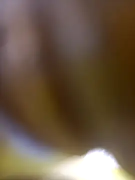 Snapshot of FinableKnee chatting on 01/06/26, 10:08 FinableKnee online show from 01/06/26, 10:08