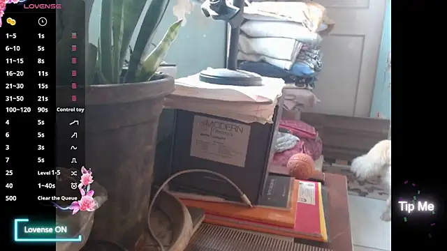 Star-Night online show from 02/01/26, 04:11