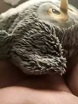 Snapshot of faphouse186582 chatting on 01/24/25, 05:10 faphouse186582 online show from 01/24/25, 05:10