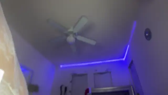 rennibear online show from 12/12/24, 01:10