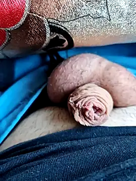sile2000nou online show from 05/04/26, 03:24