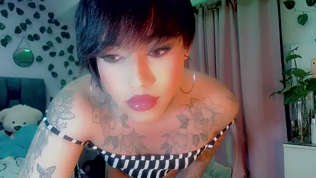 little star porn online show from 01/10/25, 08:51