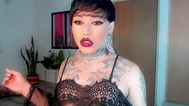 little star porn online show from 01/25/25, 02:37