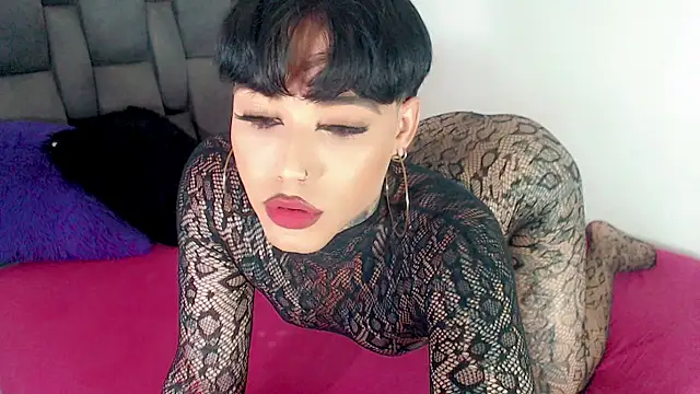 little star porn online show from 06/14/26, 02:24