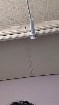 Snapshot of Elixire1 chatting on 02/01/26, 11:42 Elixire1 online show from 02/01/26, 11:42