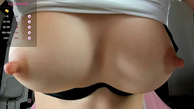 illegal lorry online show from 12/20/24, 09:43