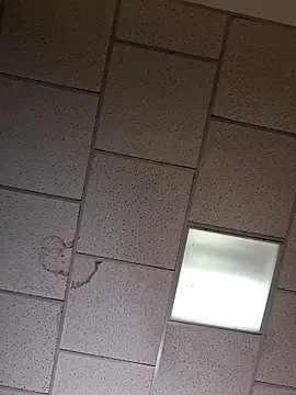 Snapshot of curiouscock38 chatting on 10/26/25, 08:42 curiouscock38 online show from 10/26/25, 08:42