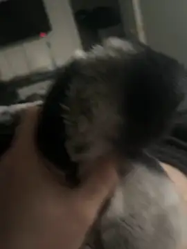 Snapshot of Furdale chatting on 01/14/25, 03:26 Furdale online show from 01/14/25, 03:26