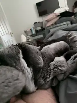 Snapshot of Furdale chatting on 10/30/25, 02:18 Furdale online show from 10/30/25, 02:18