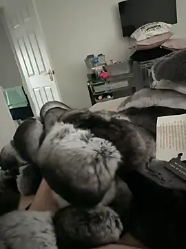 Snapshot of Furdale chatting on 11/10/25, 02:49 Furdale online show from 11/10/25, 02:49