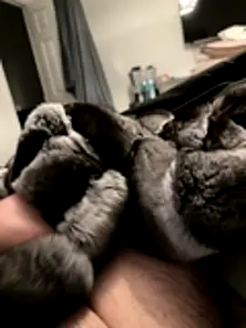 Snapshot of Furdale chatting on 11/18/25, 05:17 Furdale online show from 11/18/25, 05:17