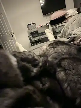 Snapshot of Furdale chatting on 12/17/25, 04:13 Furdale online show from 12/17/25, 04:13