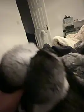 Snapshot of Furdale chatting on 02/06/26, 06:44 Furdale online show from 02/06/26, 06:44