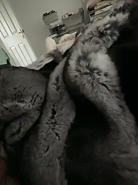 Snapshot of Furdale chatting on 02/14/26, 02:58 Furdale online show from 02/14/26, 02:58